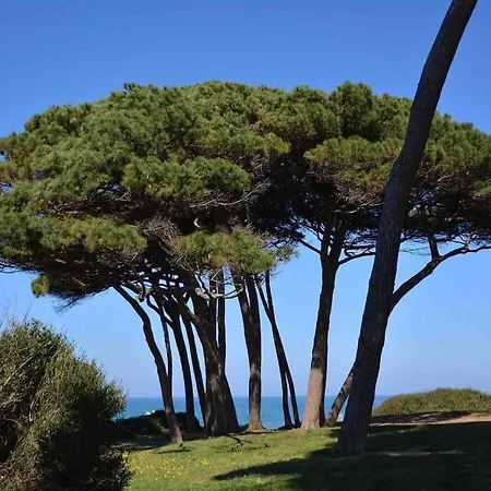 Daire Per Vacanze O Weekend In Toscana
